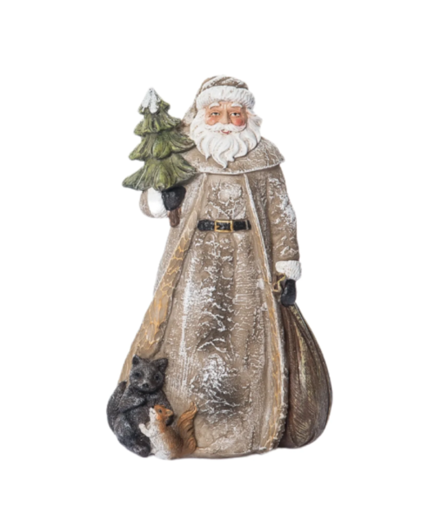 Père-Noël et animaux