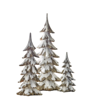 Sapin or enneigé