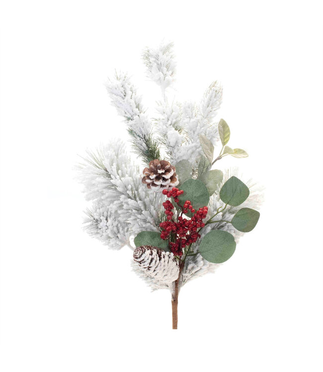 Tige pin enneigé, baies, cocottes et eucalyptus 27 po