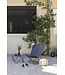 Fauteuil papillon Pop Up XL gris foncé | Élégance et confort intemporel