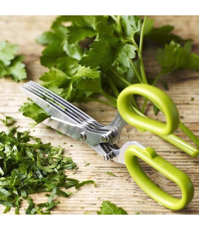 Ciseaux fines herbes