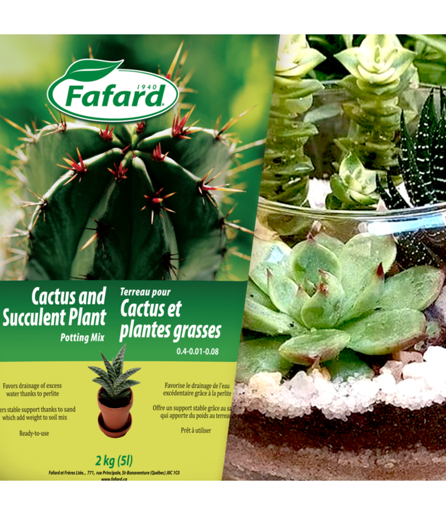Terreau à cactus