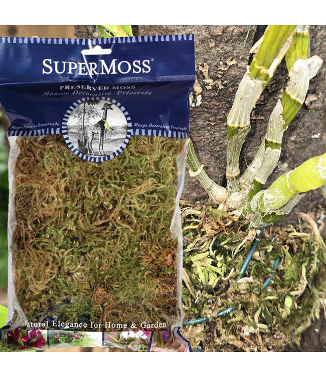 SuperMoss Mousse de forêt en sac 2 oz