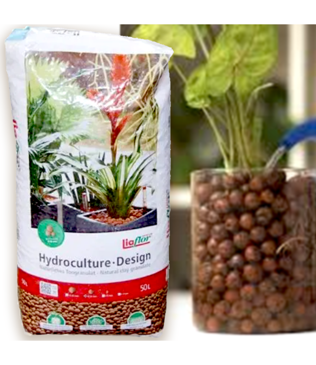 Billes d'argile 8-16 mm