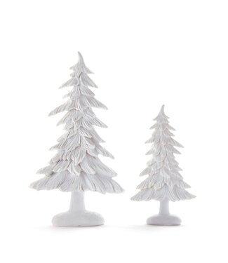 Sapin blanc