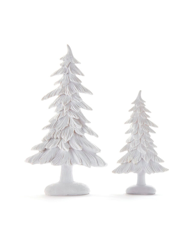 Sapin blanc