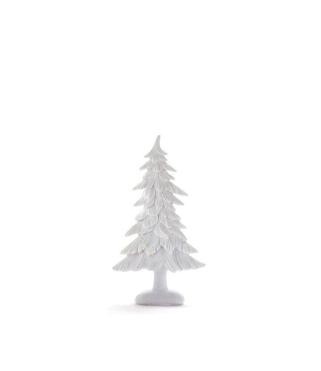 Sapin blanc