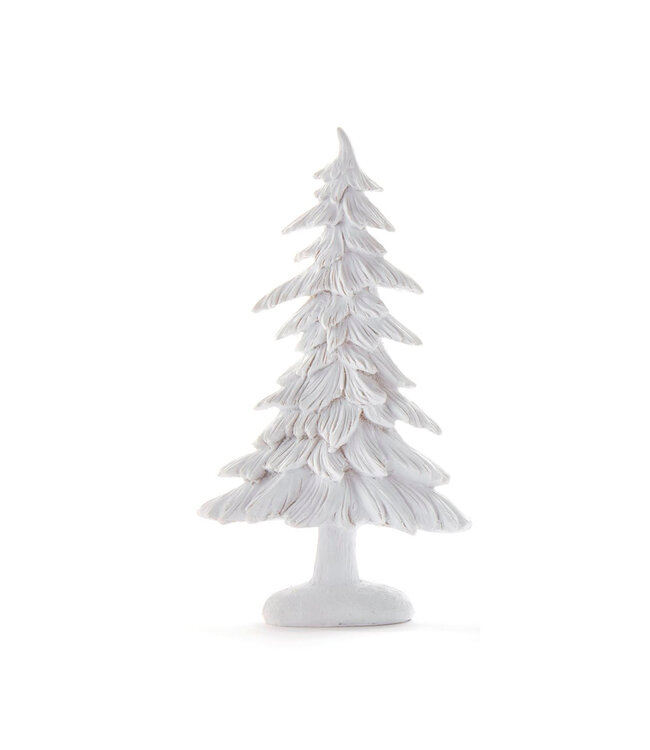 Sapin blanc