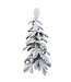 Sapin Alpine enneigé