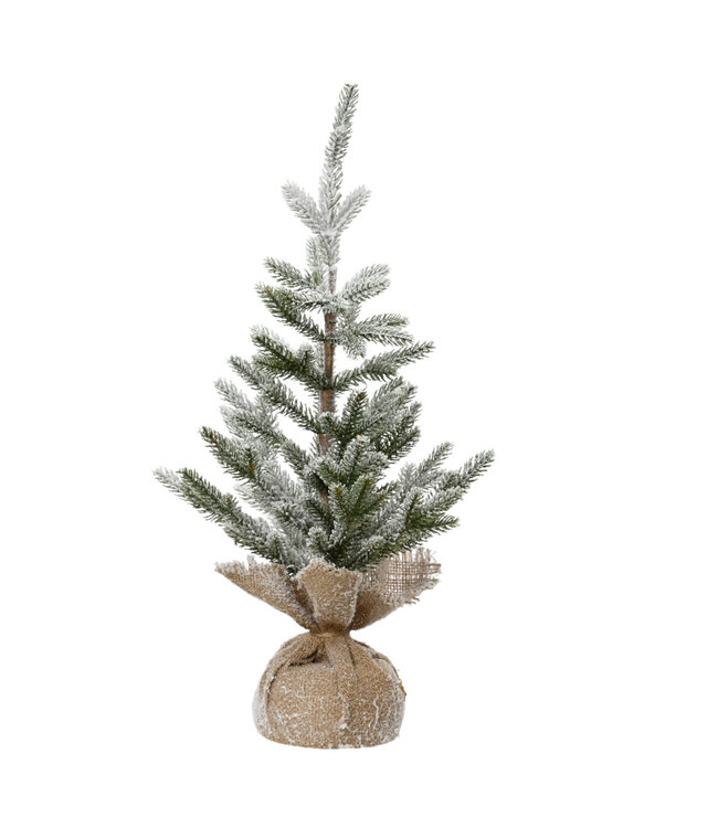 Sapin givré dans poche de jute