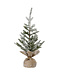 Sapin givré dans poche de jute