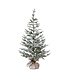 Sapin givré dans poche de jute