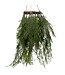 Module de verdure suspendu