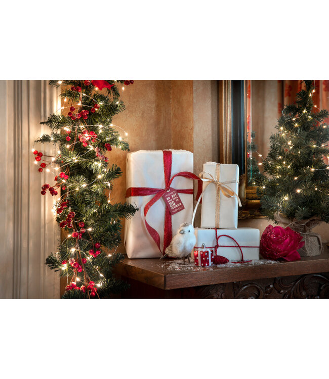 Lumières scintillantes LED fils argent blanc chaud | Éclat blanc chaud, ambiance poétique