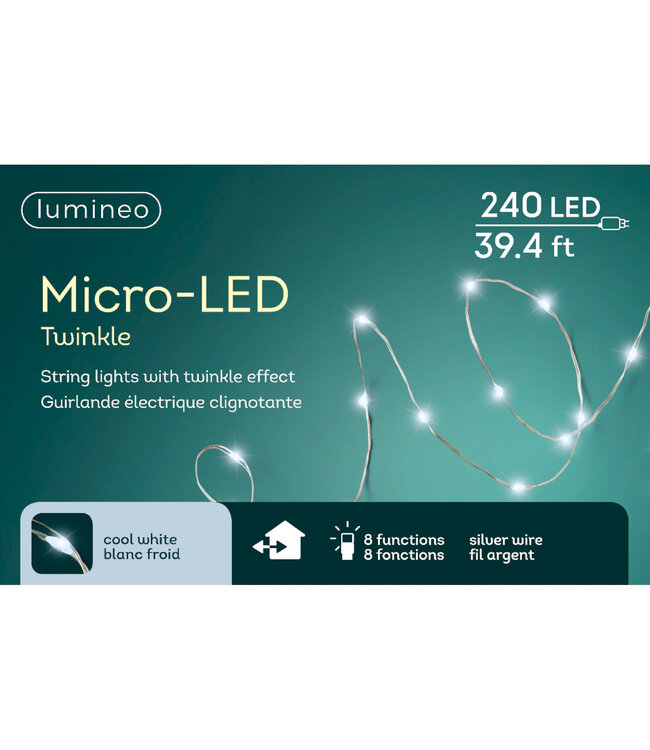 Lumières scintillantes LED fils argent blanc froid