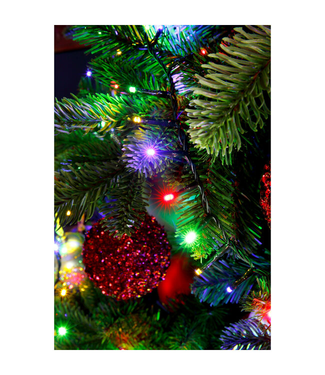 Lumières compact LED fils vert multi-couleurs