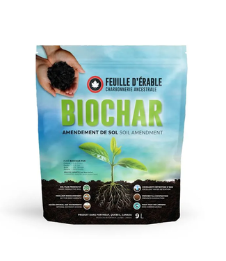Feuille d'érable Biochar