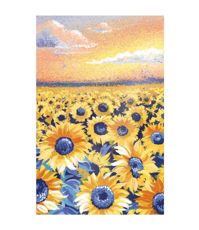 Carte - Champs de tournesols