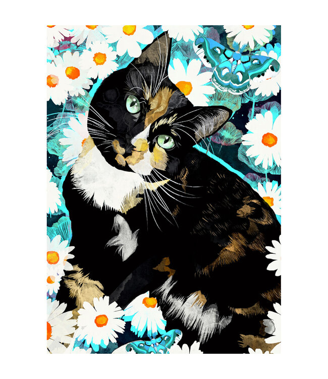 Carte - Chat, champs de fleurs
