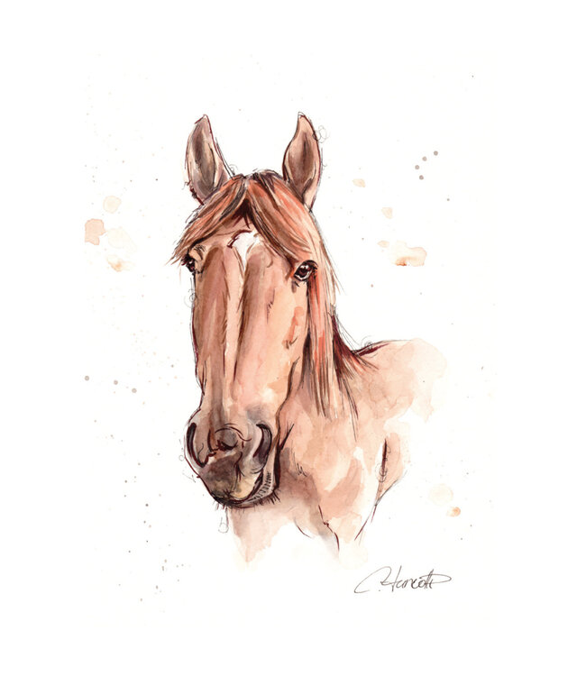 Carte - Cheval