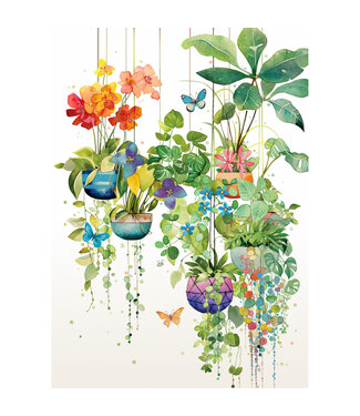 Carte - Plantes suspendues