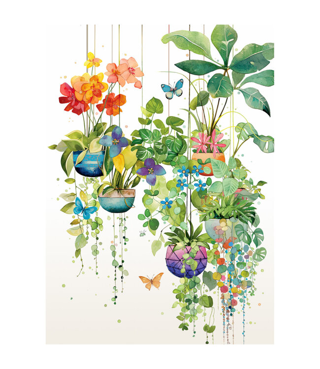 Carte - Plantes suspendues