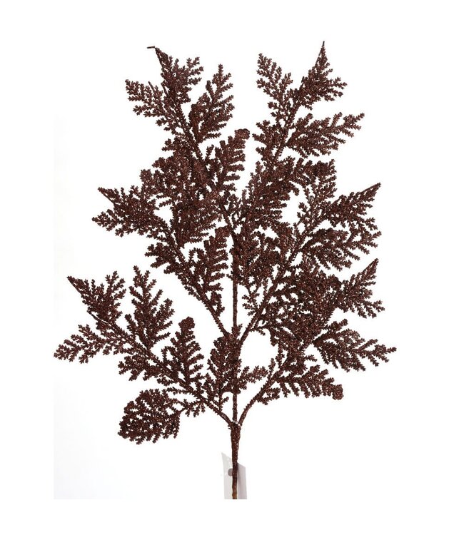 Tige de cèdre brune