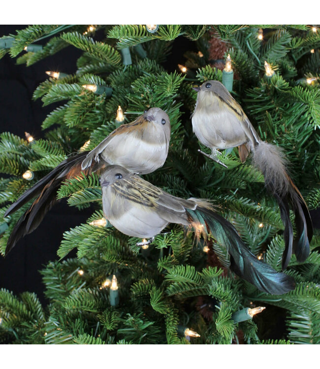 Oiseau décoratif gris et brun sur clip (3 ass.)