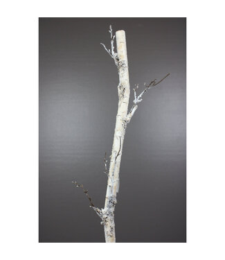 Tronc de bouleau enneigé 37 po