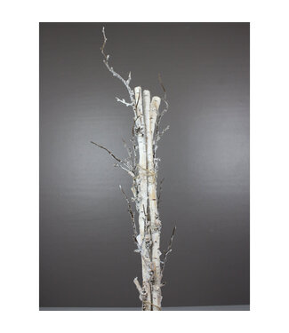 Paquet branches de bouleau 27,5 po