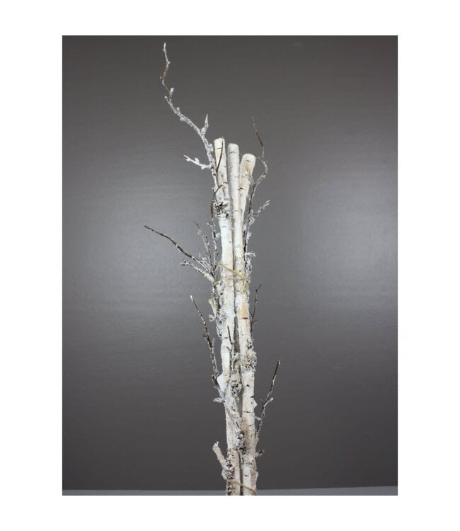 Paquet branches de bouleau 27,5 po