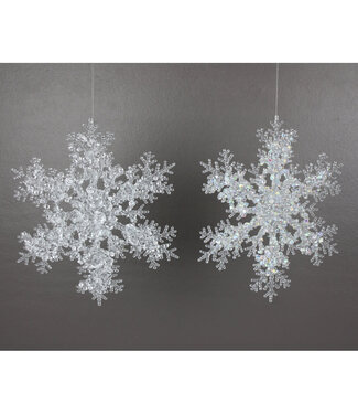 Ornement flocon (2 ass.)