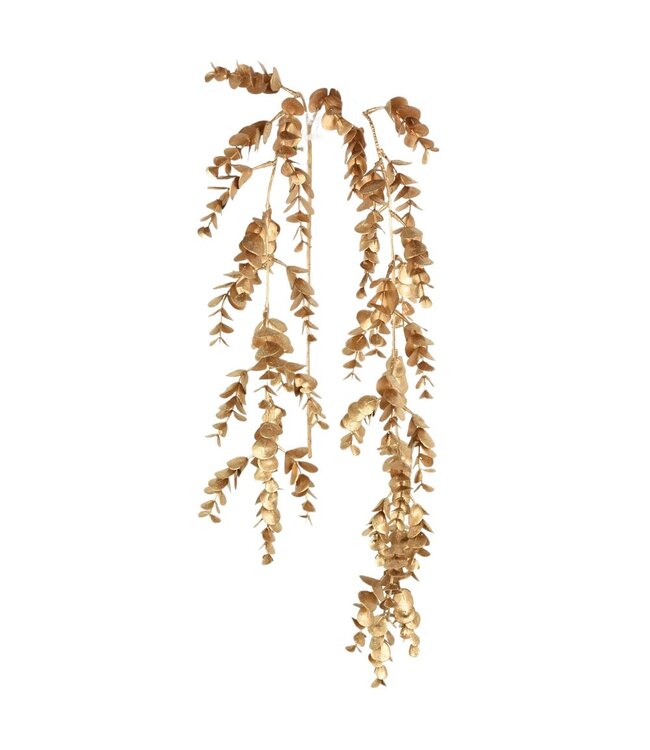 Tige d'eucalyptus or 38 po