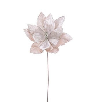Tige de poinsettia velours champagne 22 po