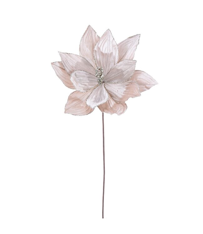 Tige de poinsettia velours champagne 22 po
