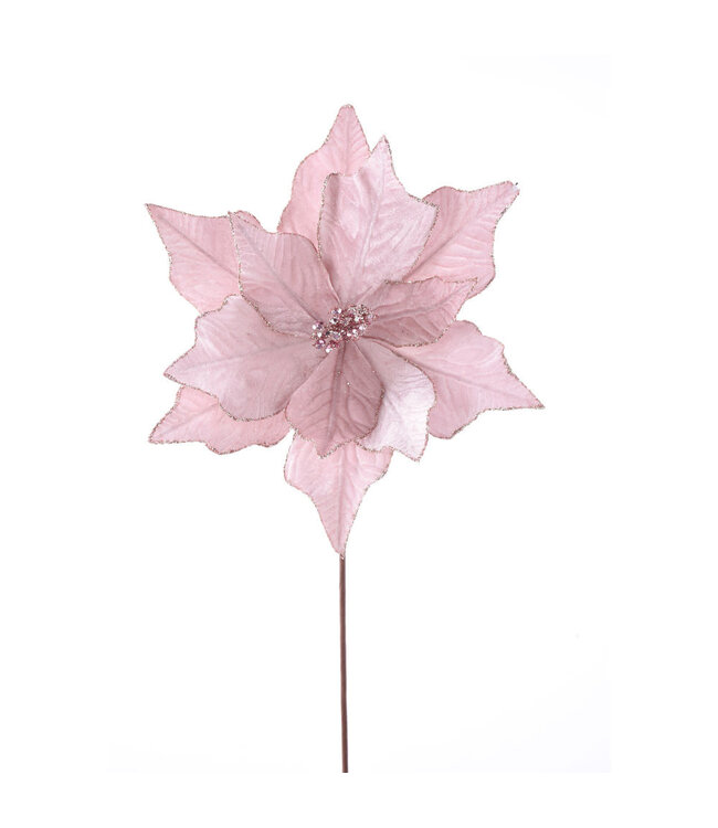 Tige de poinsettia velours rose 22 po