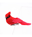 Cardinal sur clip 2,5 po (boîte de 12)