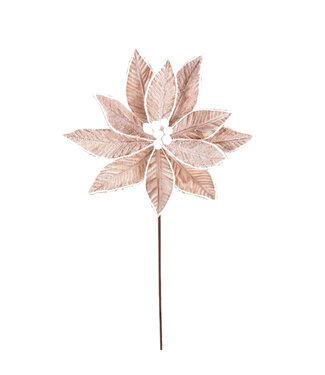 Tige de poinsettia beige givrée 22 po