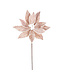 Tige de poinsettia beige givrée