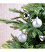 Tube de 10 boules argent mixte 2 po