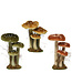 Champignons velours 10 po