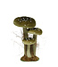 Champignons velours 10 po