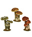 Champignons velours 6,5 po
