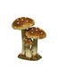 Champignons velours 6,5 po