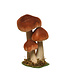 Champignons velours 6,5 po
