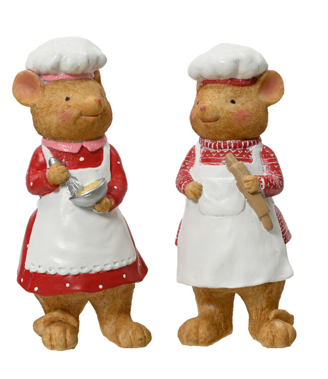 Souris cuisiner
