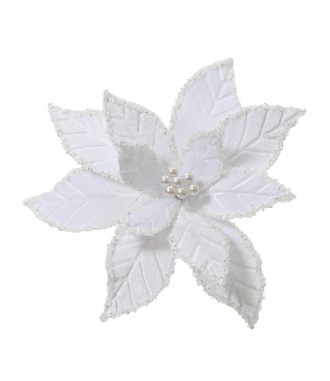 Poinsettia sur pince velours blanc 12,5 po