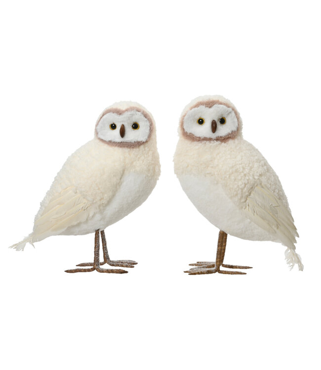 Hibou crème