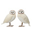 Hibou crème