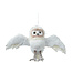 Hibou crème volant